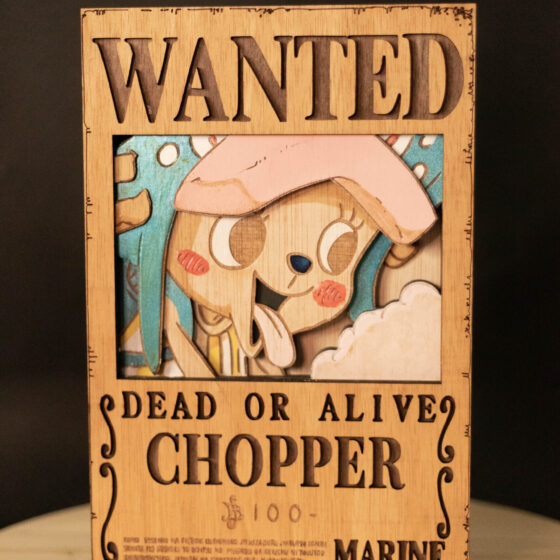 _MG_4251 Cartel de se busca "Chopper"