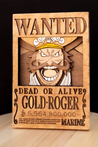 _MG_4645 Cartel de se busca "GolD Roger"