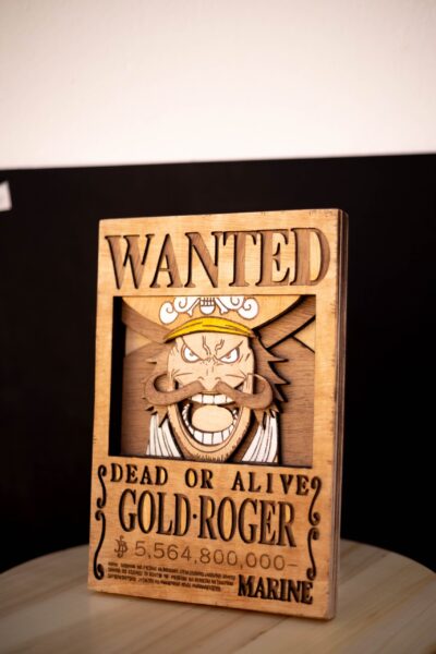 _MG_4647 Cartel de se busca "GolD Roger"