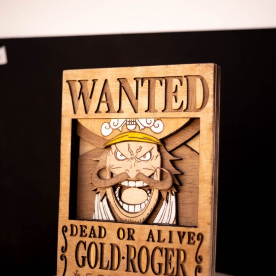 _MG_4647 Cartel de se busca "GolD Roger"