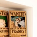 Cartel de busca "Franky"