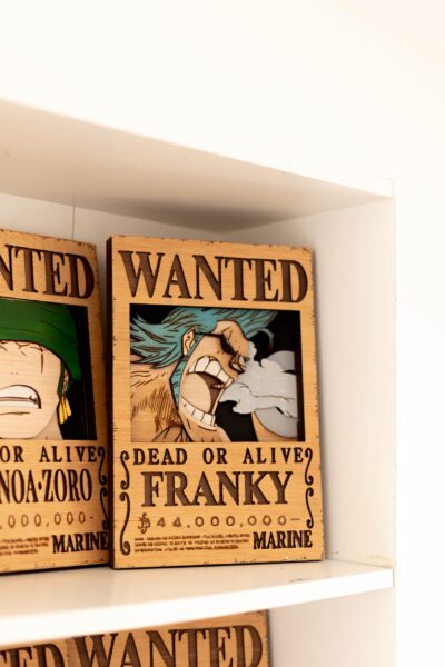 Cartel de busca "Franky"