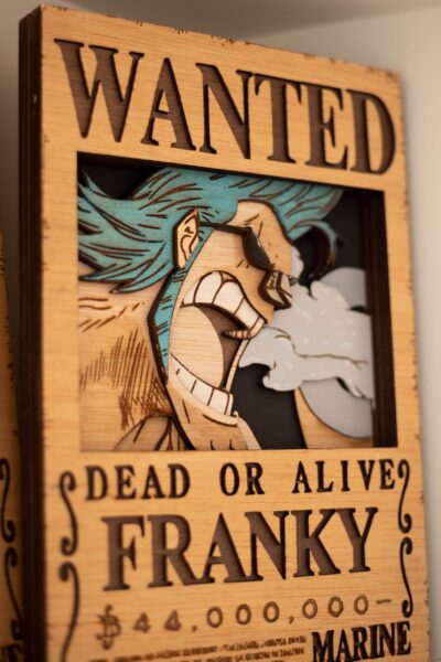Cartel de busca "Franky"