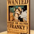 Cartel de busca "Franky"