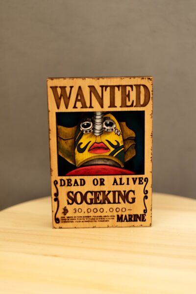_MG_0190 Cartel "se busca" Sogeking