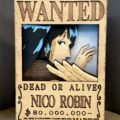 Cartel de se busca "Robin"