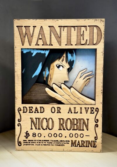 Cartel de se busca "Robin"