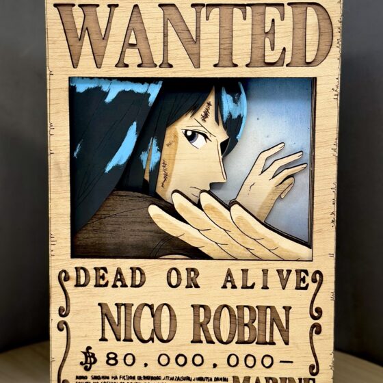 Cartel de se busca "Robin"