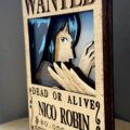 Cartel de se busca "Robin"