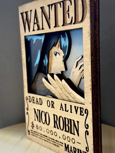 Cartel de se busca "Robin"