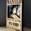Cartel de se busca "Robin"