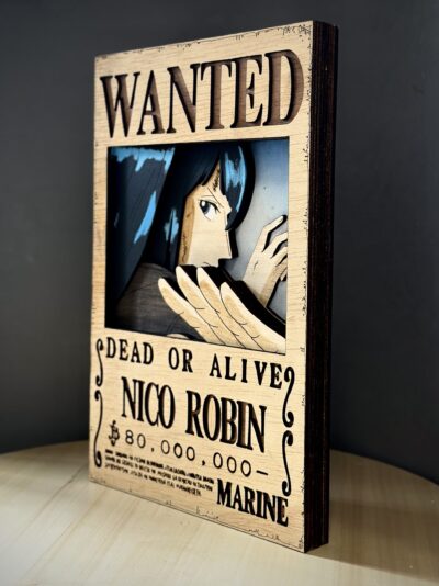 Cartel de se busca "Robin"