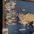 Mapa mundo "Juego de Tronos"