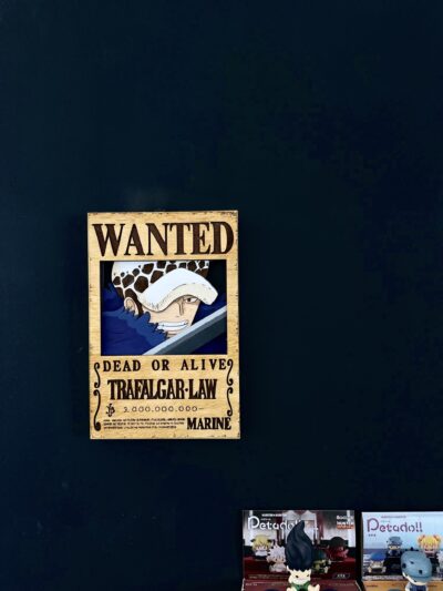 Cartel de se busca "Trafalgar D. Water Law"