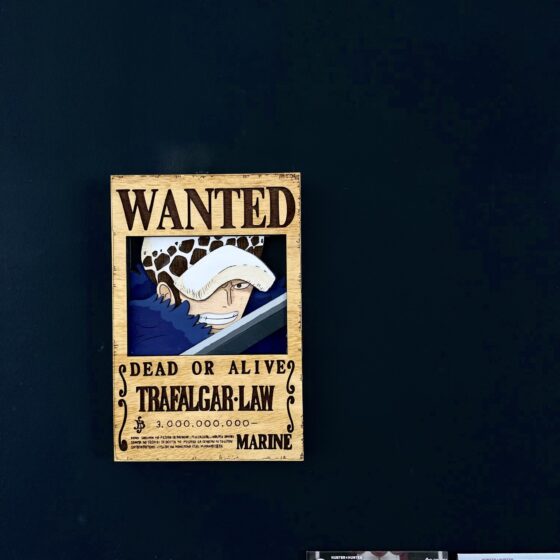 Cartel de se busca "Trafalgar D. Water Law"